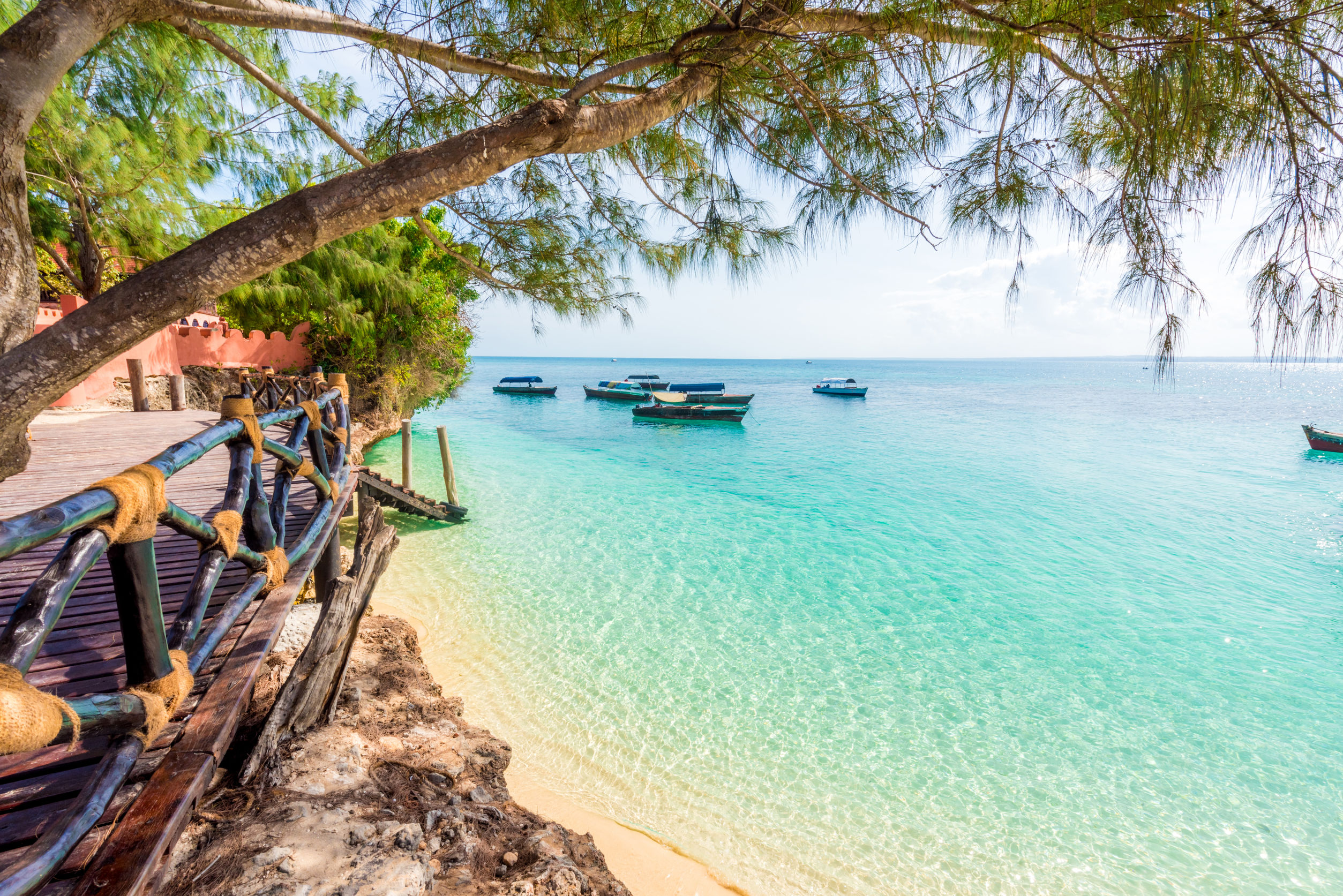 Tanzania Safari with Zanzibar 5 night Beach Stay Tanzania Tours