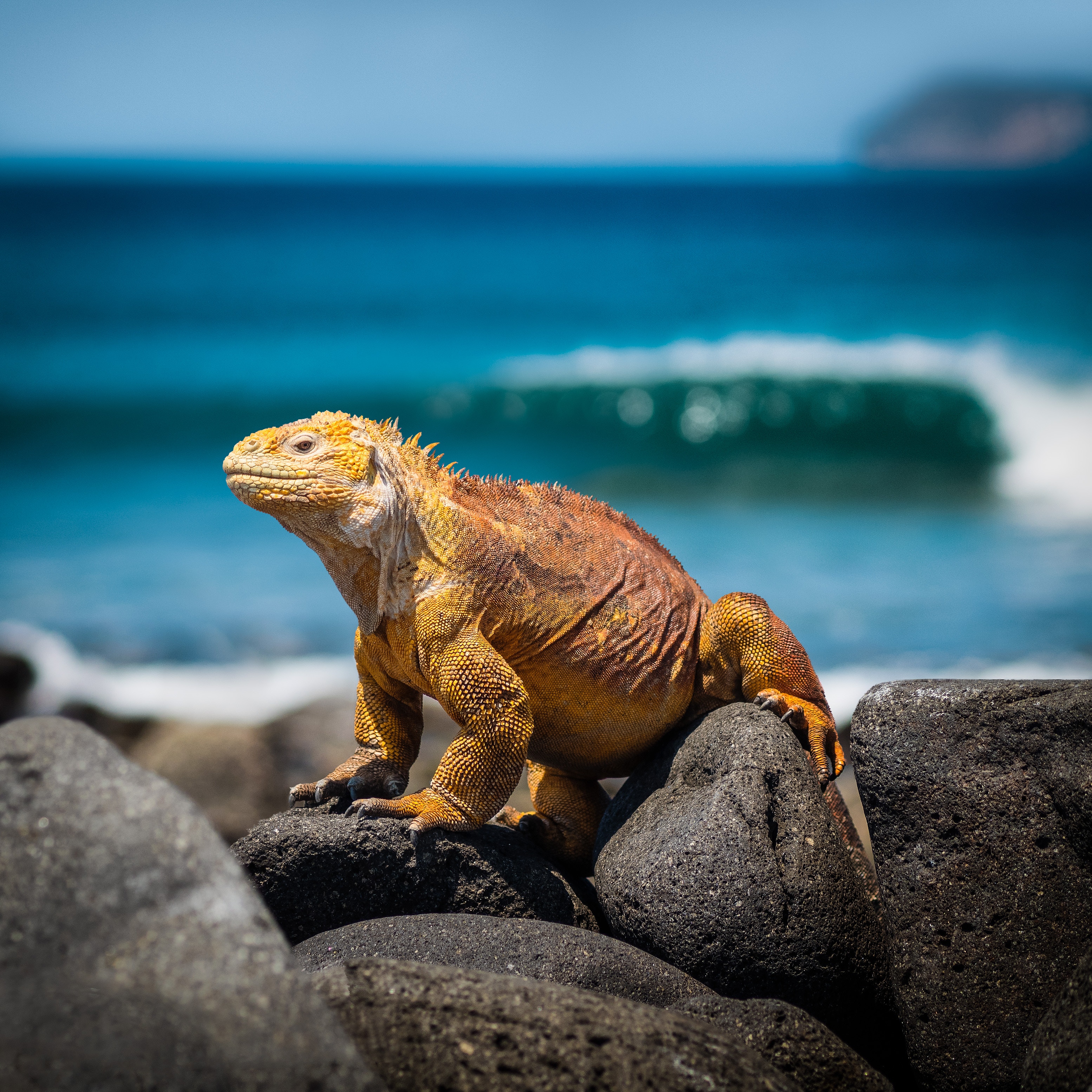 ecuador galapagos islands holidays tours tour